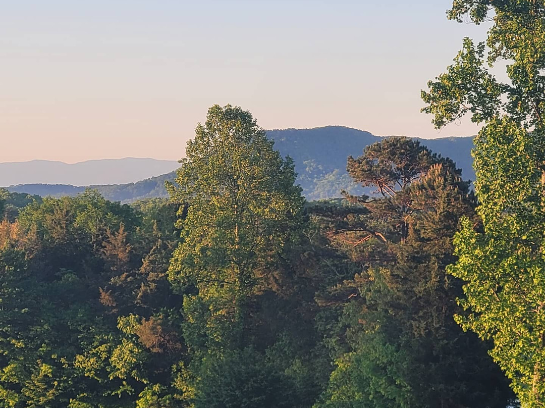 Smith's Happily Ever After Bed And Breakfast