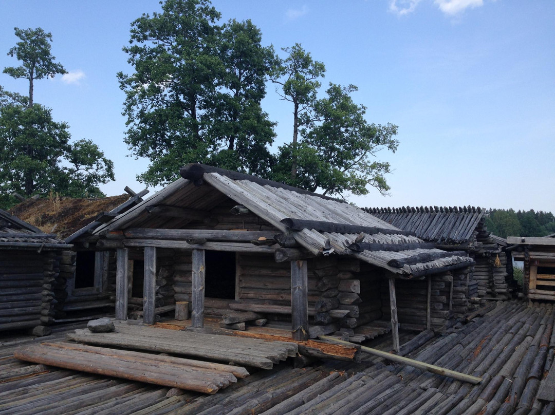 Araisi Lake Dwelling Site-Cesis必去景点