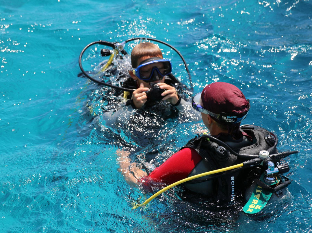 3 Turtles Diving Center-Safaga必去景点