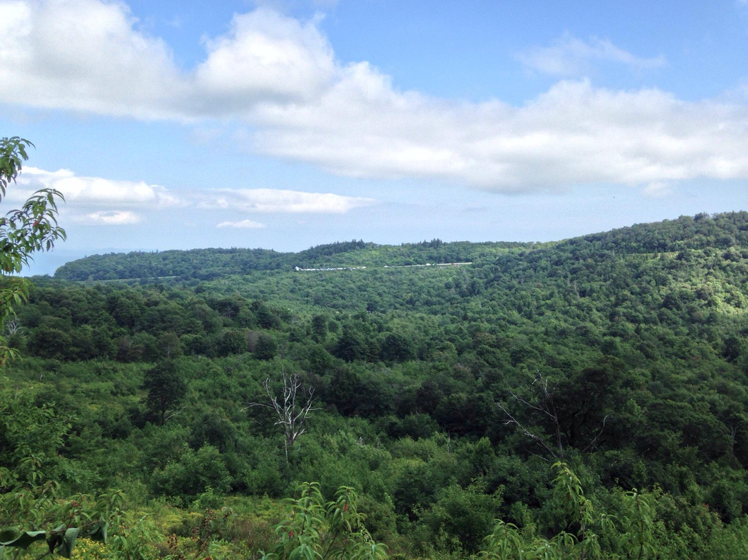 Graveyard Fields Hike & Waterfalls-Canton必去景点