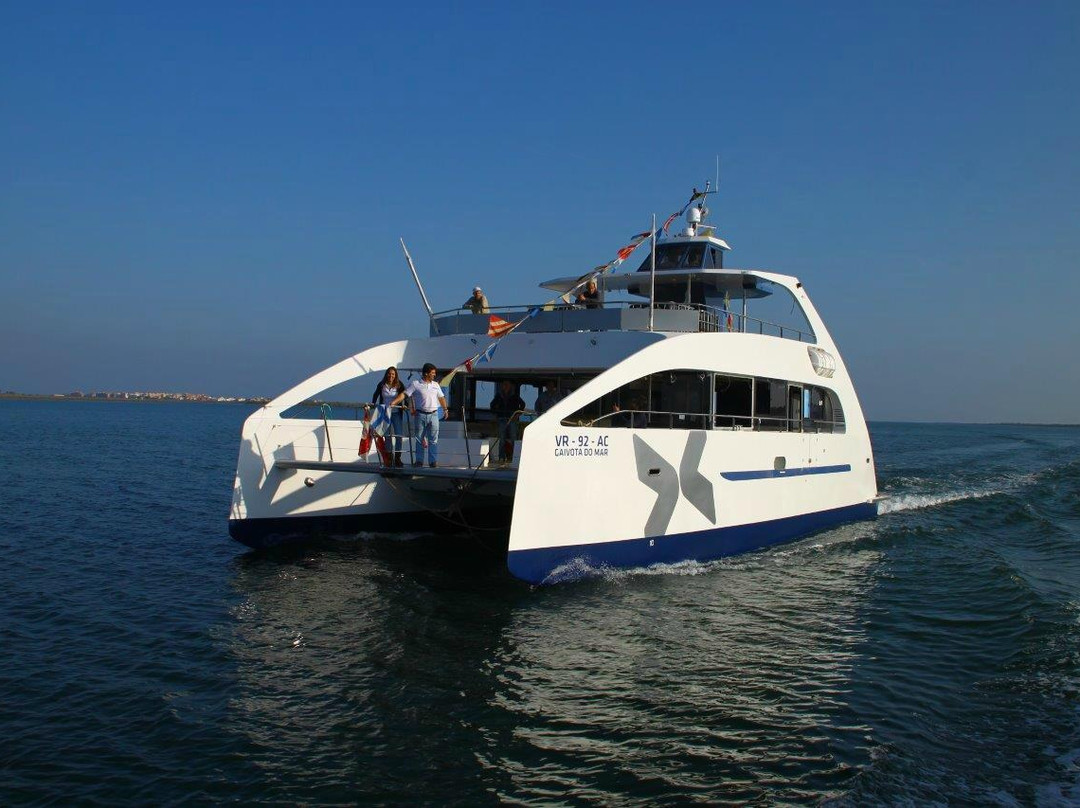 WaterX - Powering nautical events-里斯本必去景点