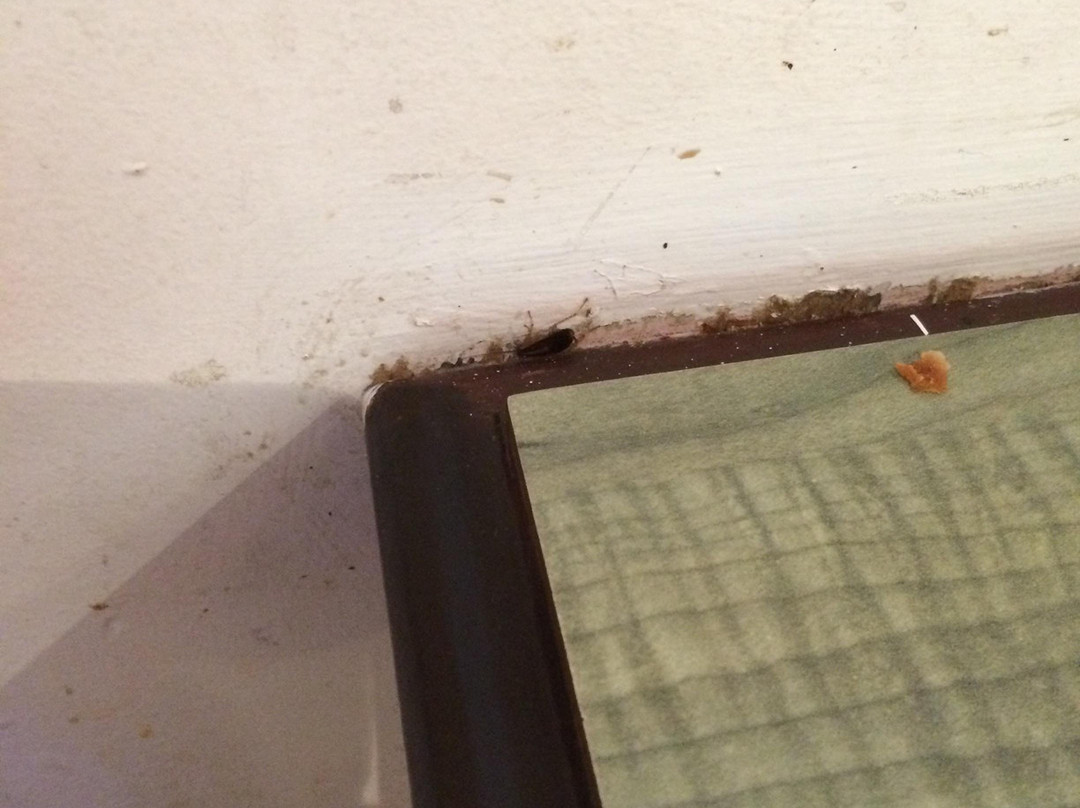 Pacific Mall Toronto-万锦市必去景点