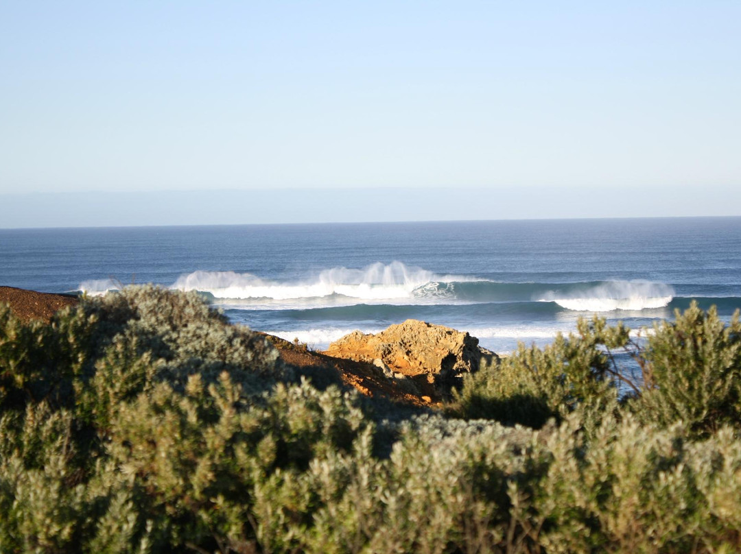 Natural Treasures Tour - Day Tours-New Gisborne必去景点