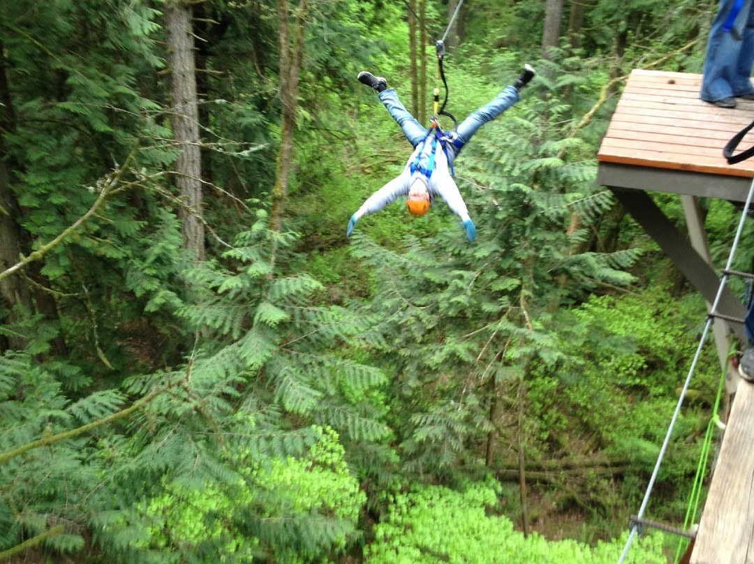 Treehouse Island Zipline Adventures-Silverlake必去景点