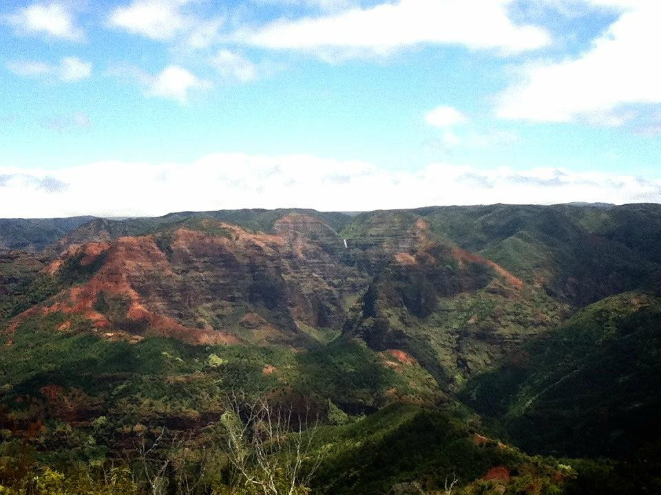 Iliau Nature Loop Trail-威美亚必去景点