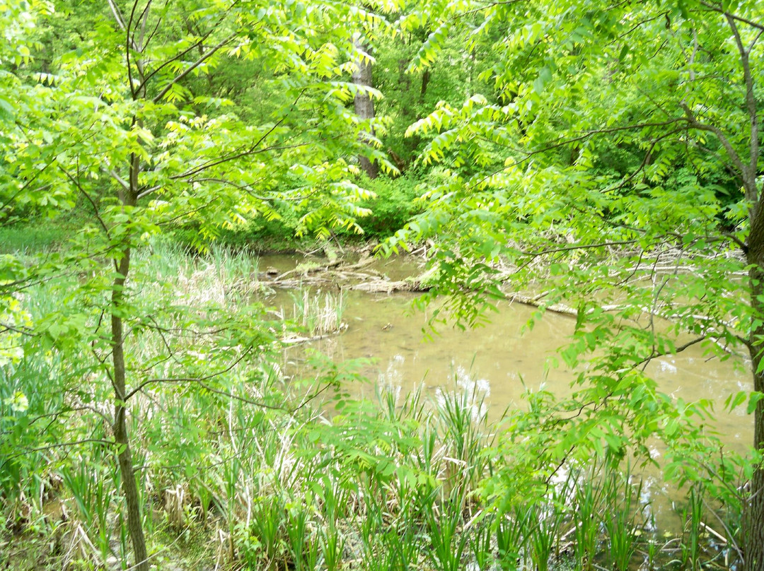 Armory Canal Trail-哈泊斯费里必去景点