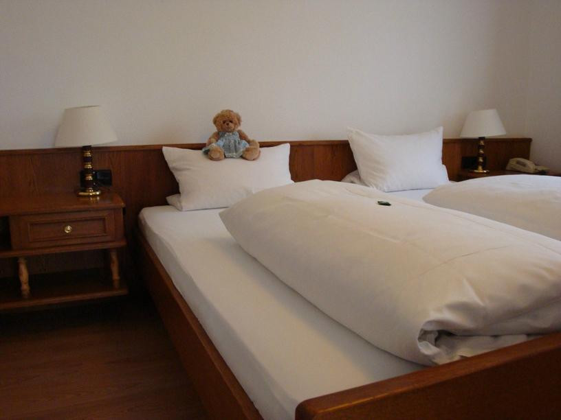 Parkhotel Krone主图