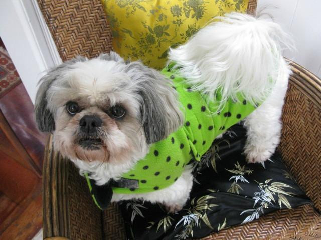 Kauri Nest B&B主图