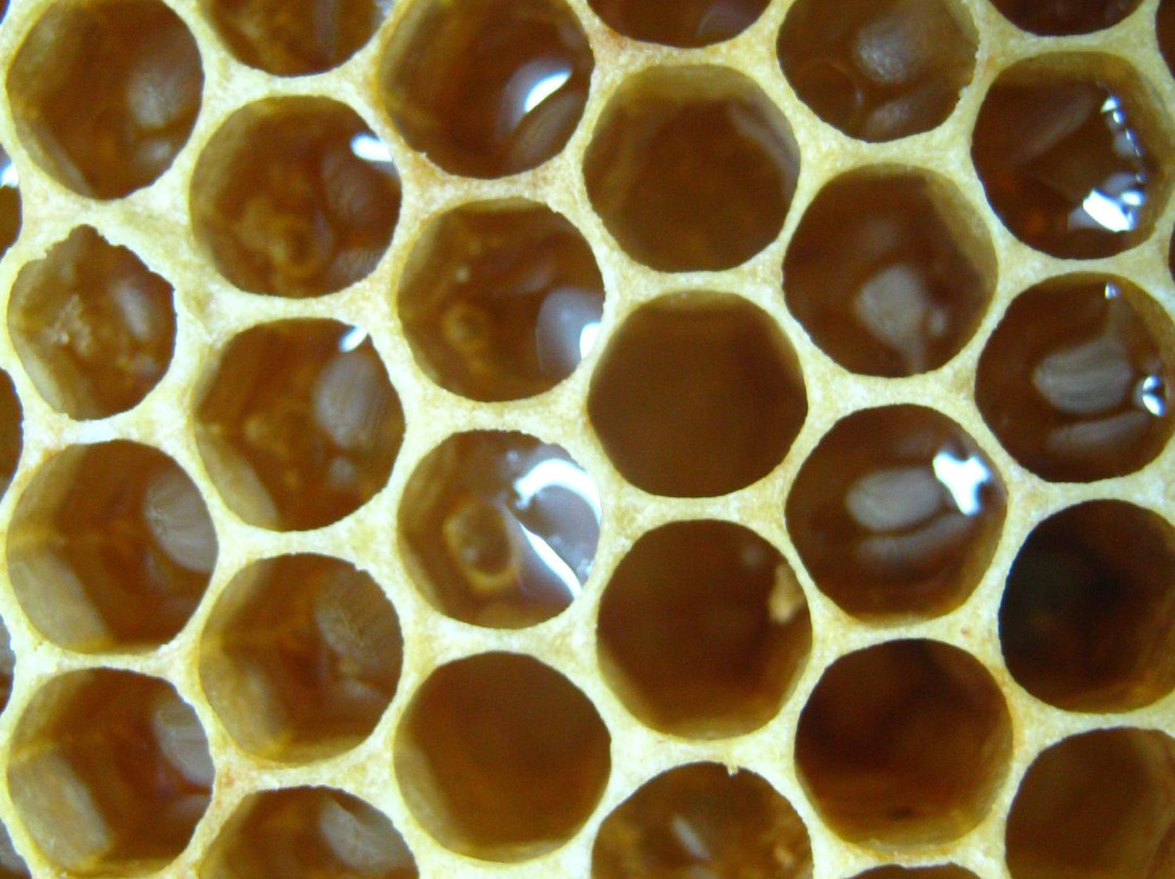 Les Trois Acres/Three Acres-Dunham必去景点