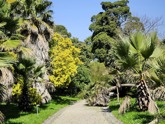 Thuret Garden (Jardin Thuret )