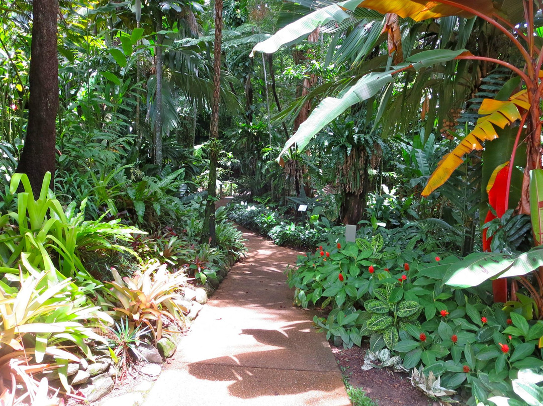 凯恩斯植物园-凯恩斯必去景点