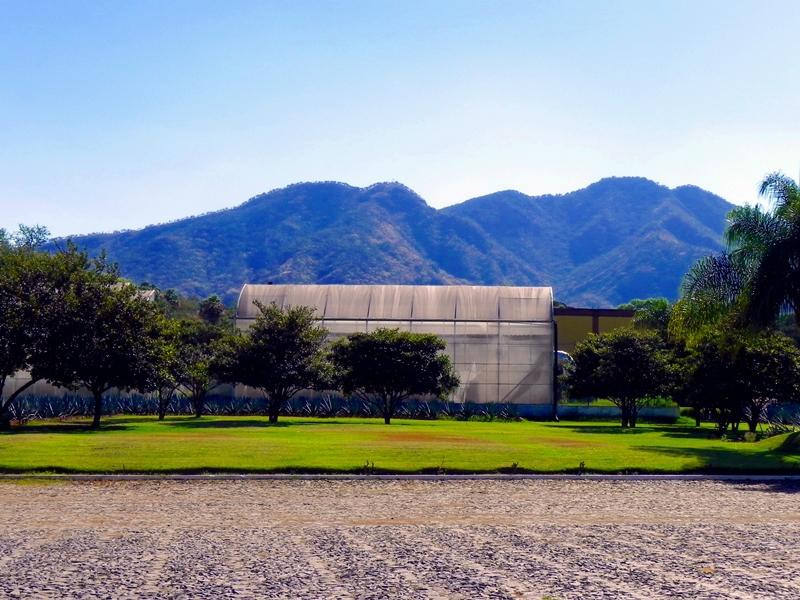 Amatitan旅游攻略图片