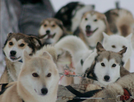 White Trail Adventures-基律纳必去景点