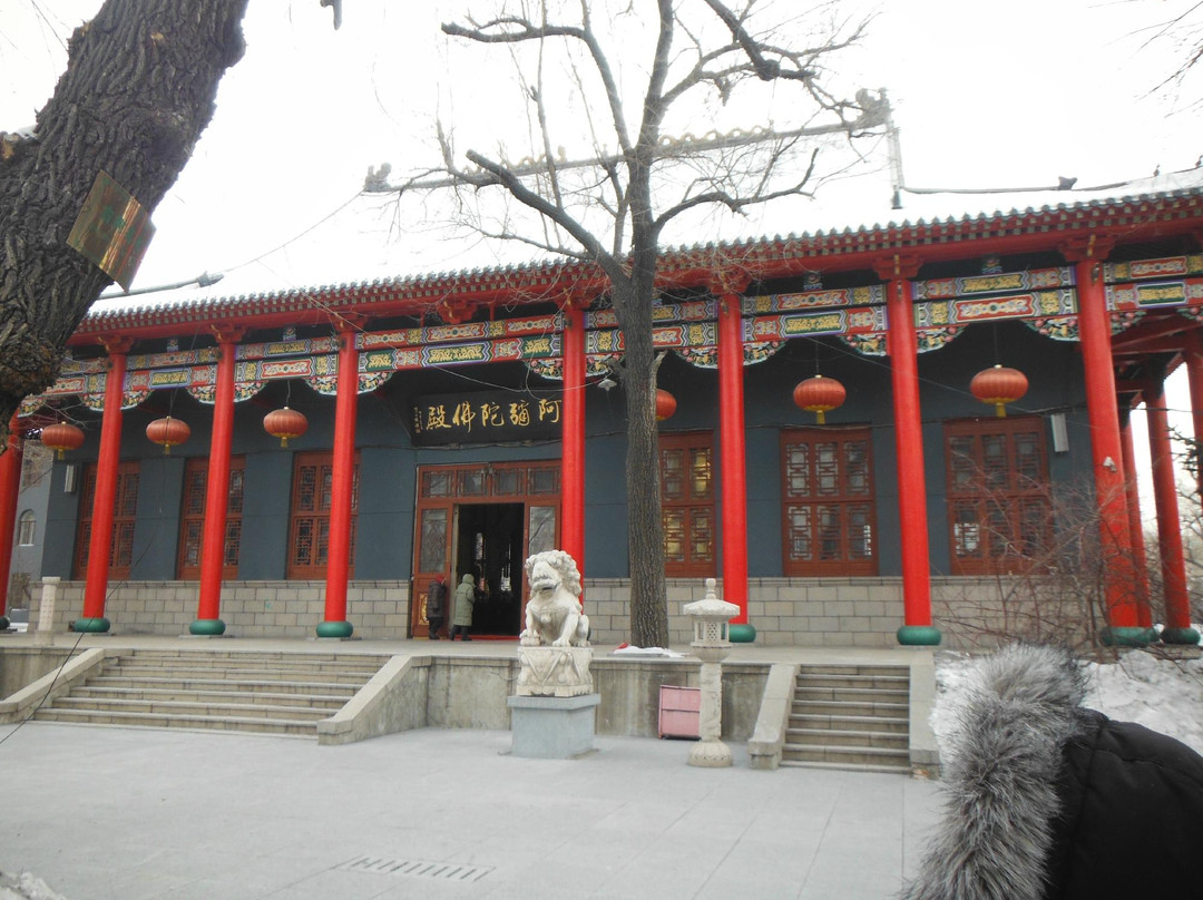 极乐寺-哈尔滨市必去景点