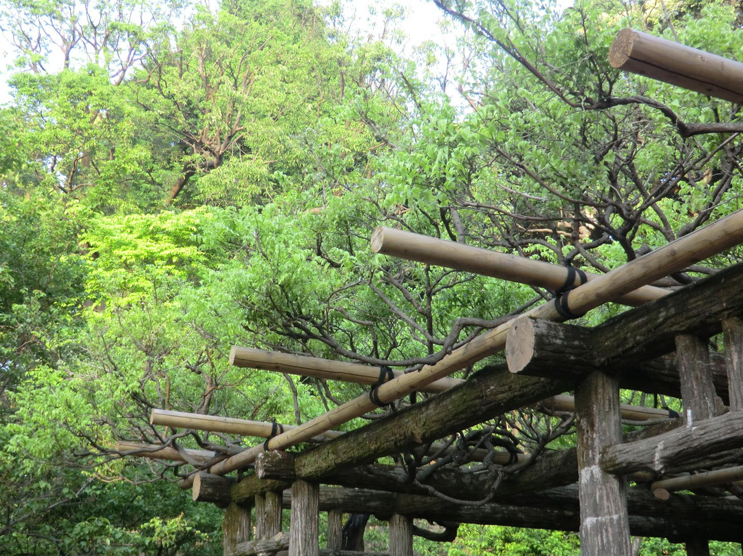 有栖川宫纪念公园-港区必去景点