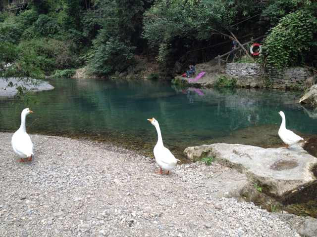 三峡人家风景区-宜昌市必去景点