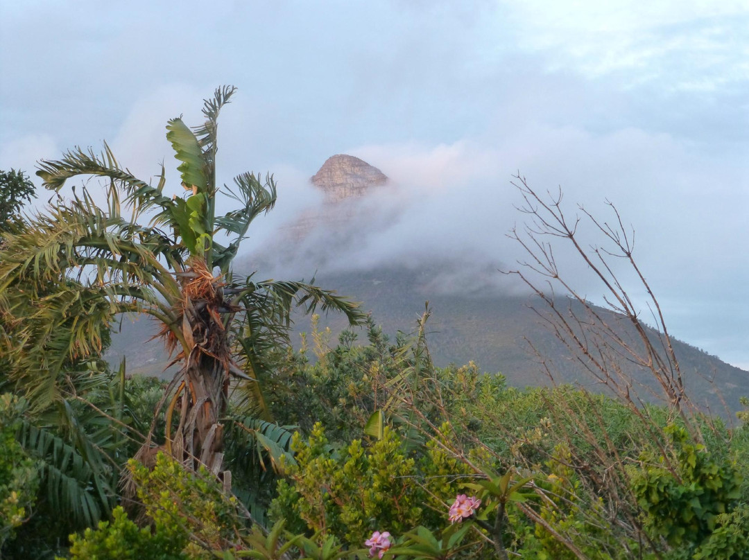 Sea Breeze Camps Bay主图