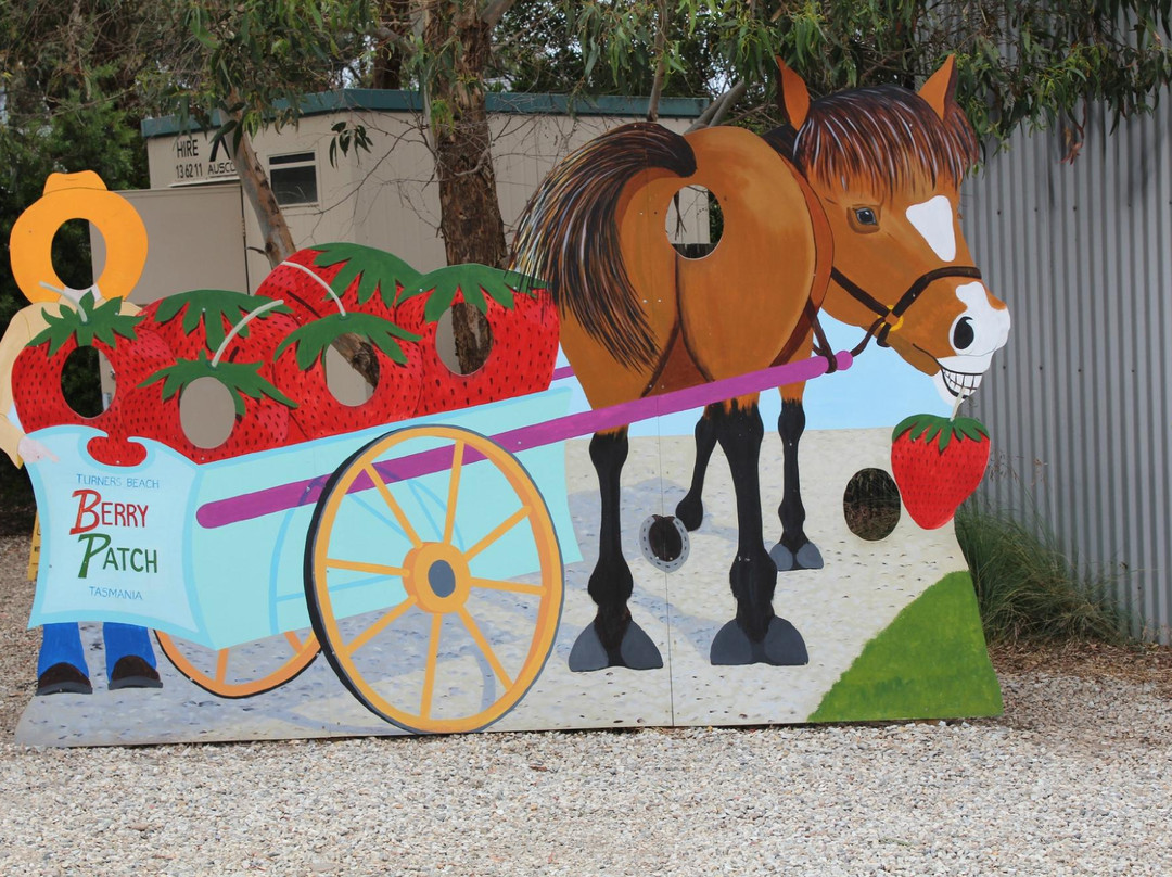 Turners Beach Berry Patch‎景点图片