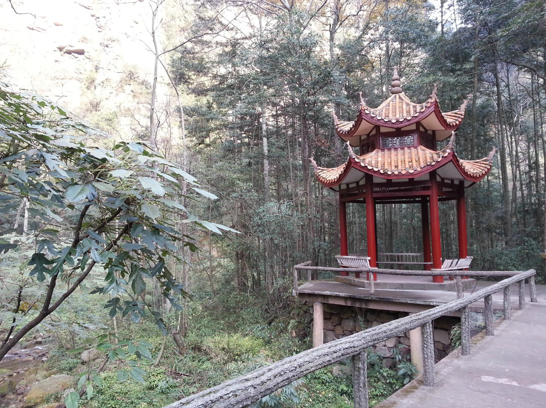 金鞭溪景点图片