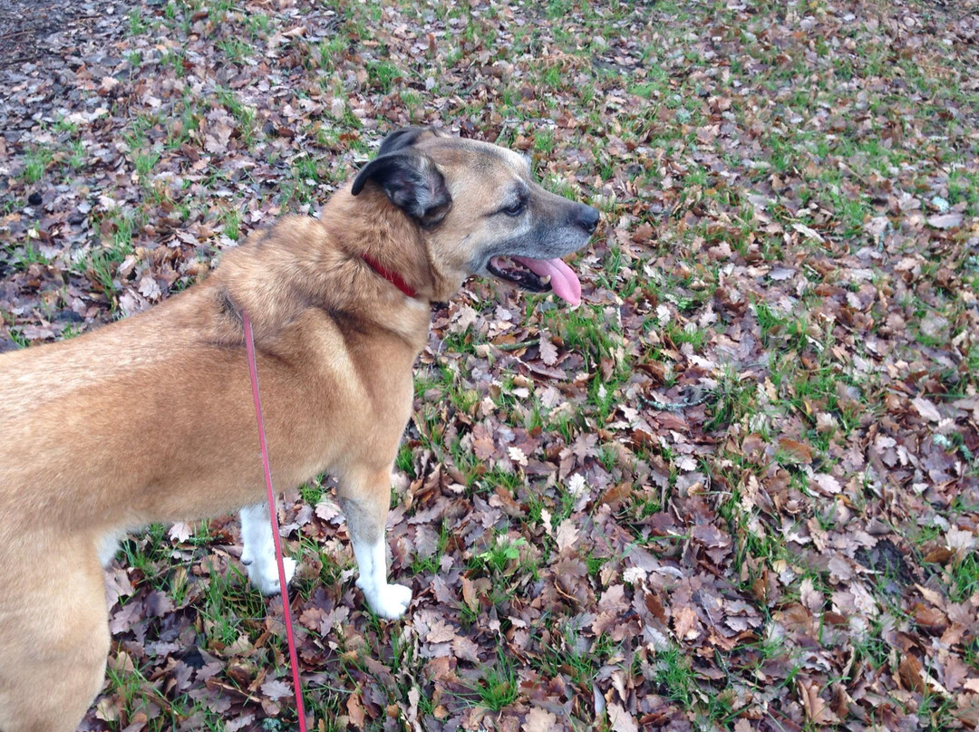 Hamsterley Forest-Hamsterley必去景点