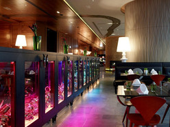 Gallery 4