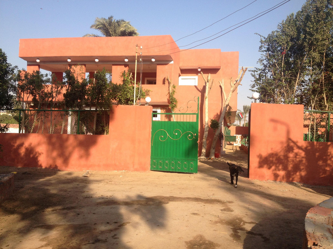 Kfb Stables, Abu Sir Pyramids-Abu Sir必去景点