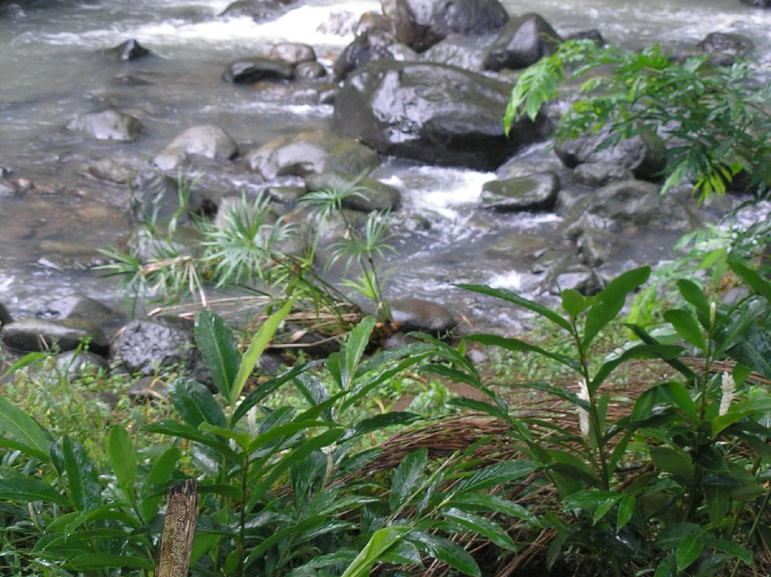 Jessamine Eden Botanic Garden-St. George's必去景点