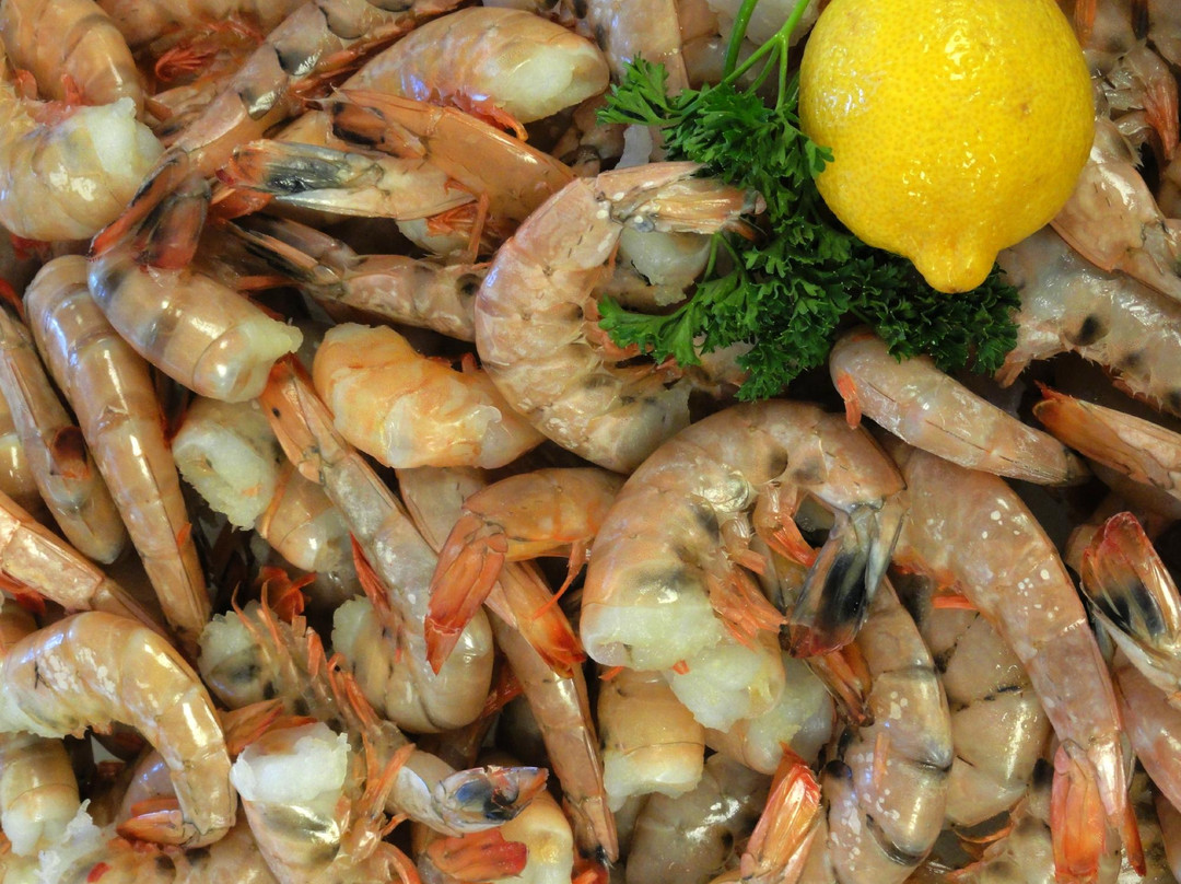 Perdido Key Seafood-Perdido Key必去景点