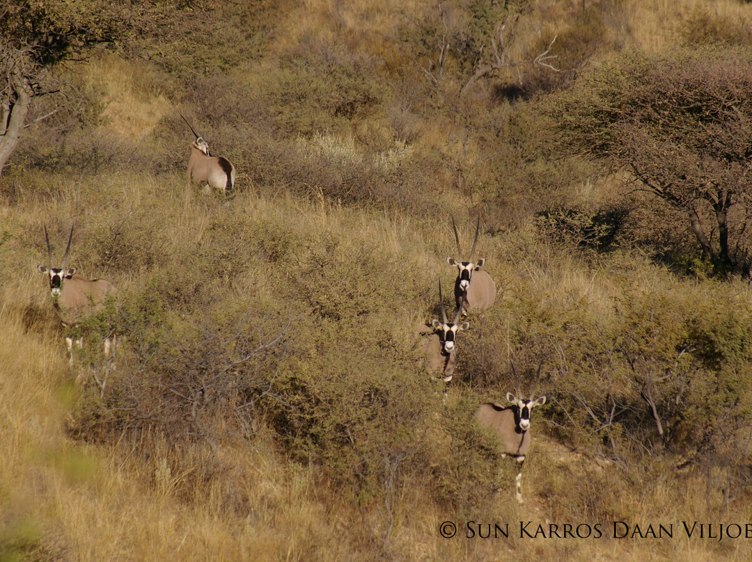 Daan Viljoen Nature Reserve-温德和克必去景点