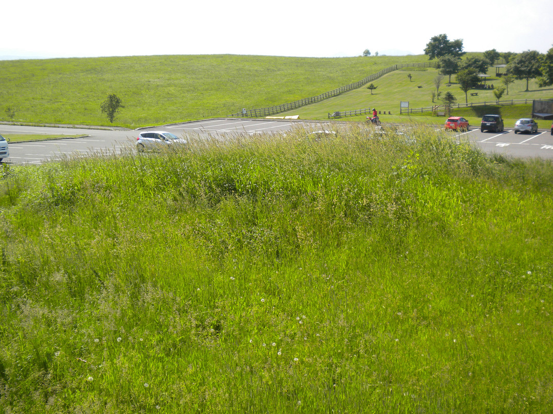 标茶町多和平-标茶町必去景点