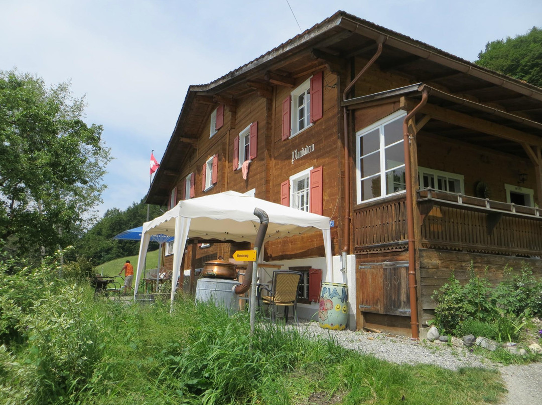 Pension & Baizli Plandadein主图