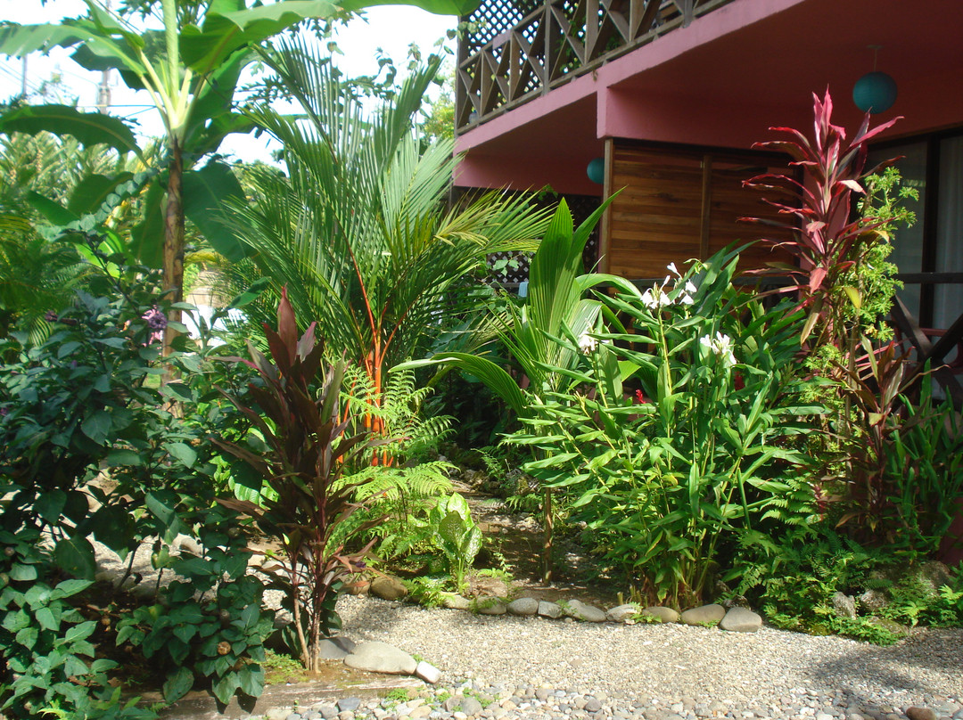 Coconut Love Beach House