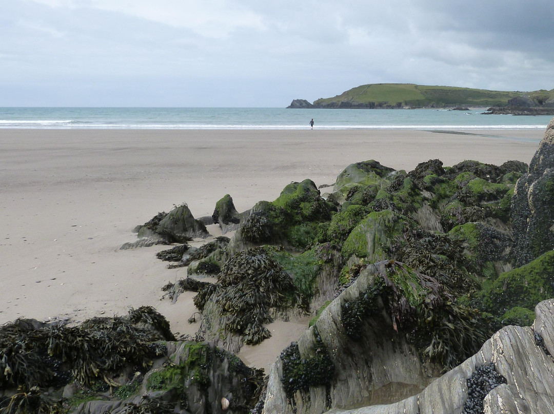 Owenahincha Beach-Rosscarbery必去景点