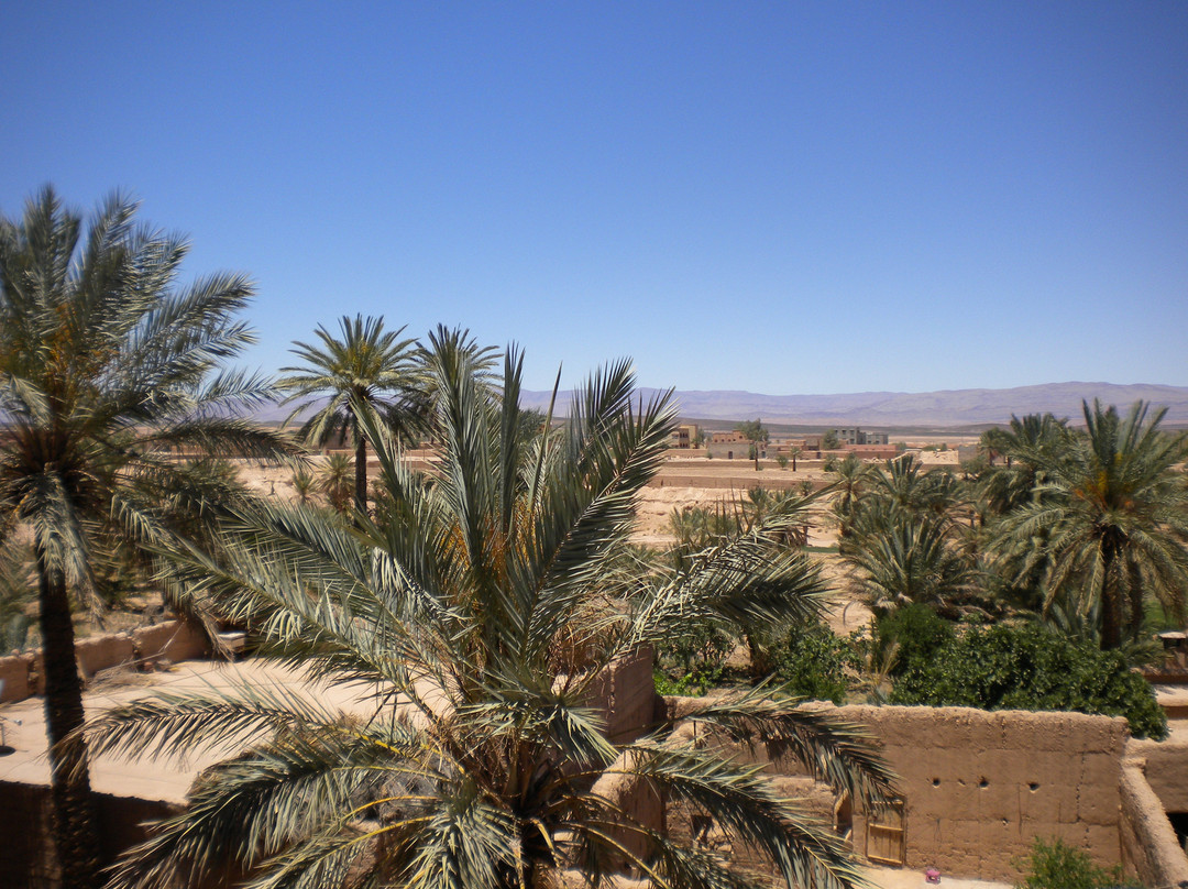 The Oasis Museum-Tinejdad必去景点