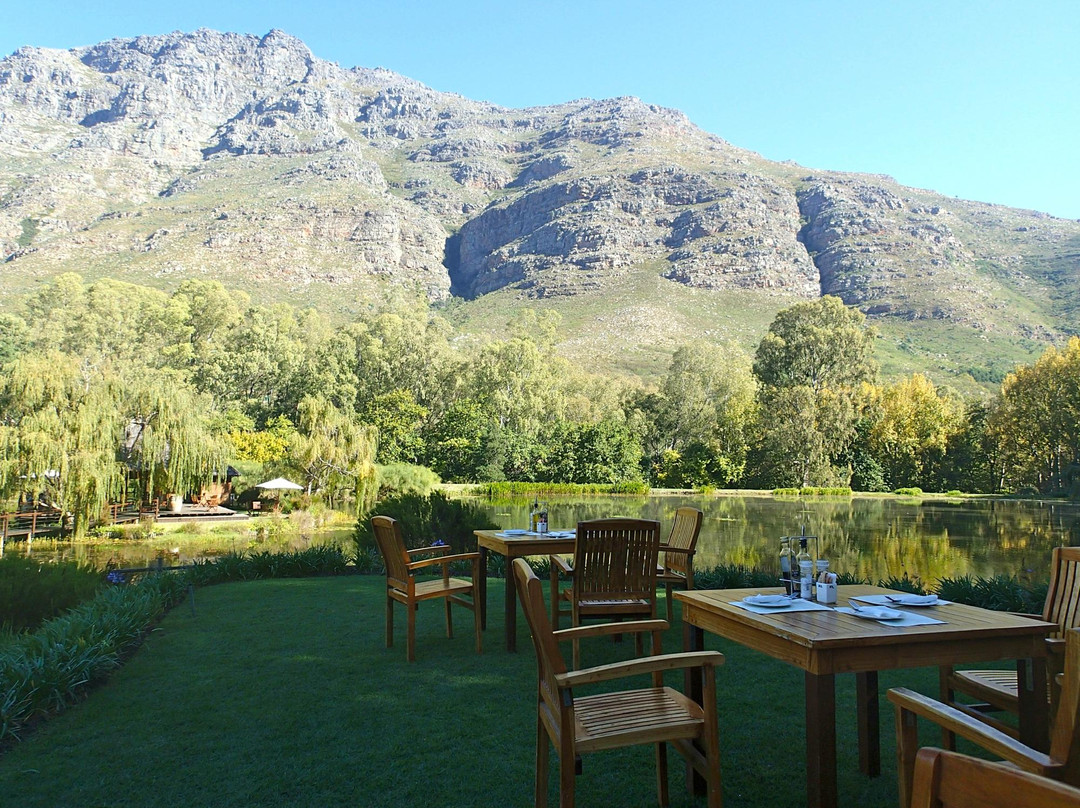 Stark-Condé Wines-斯泰伦博斯必去景点