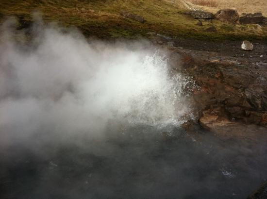 Deildartunguhver Thermal Spring景点图片