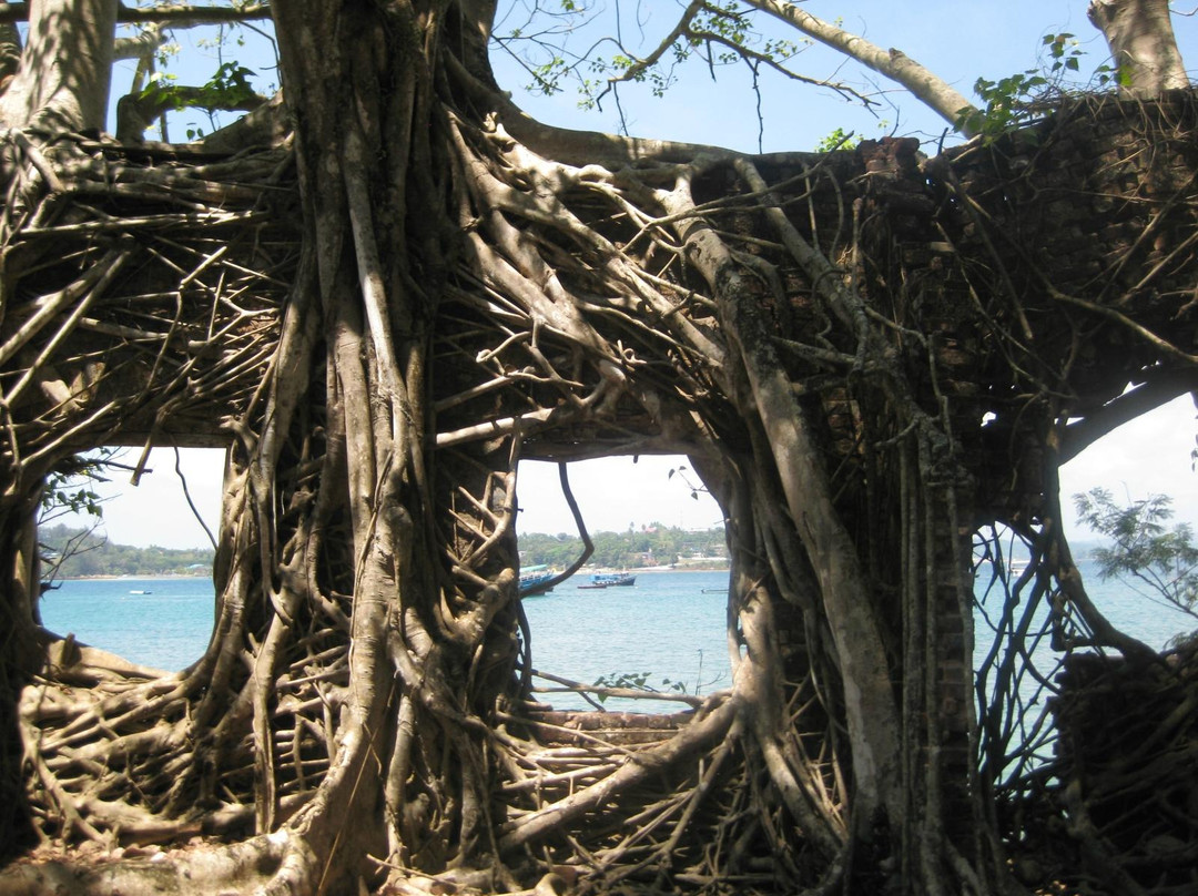 Netaji Subhash Chandra Bose Island-布莱尔港必去景点