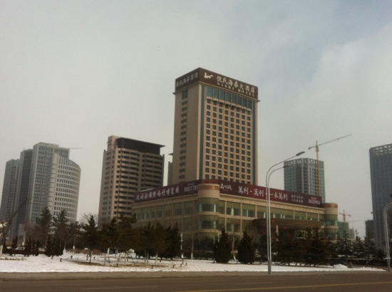 倪氏海泰大酒店-客卧