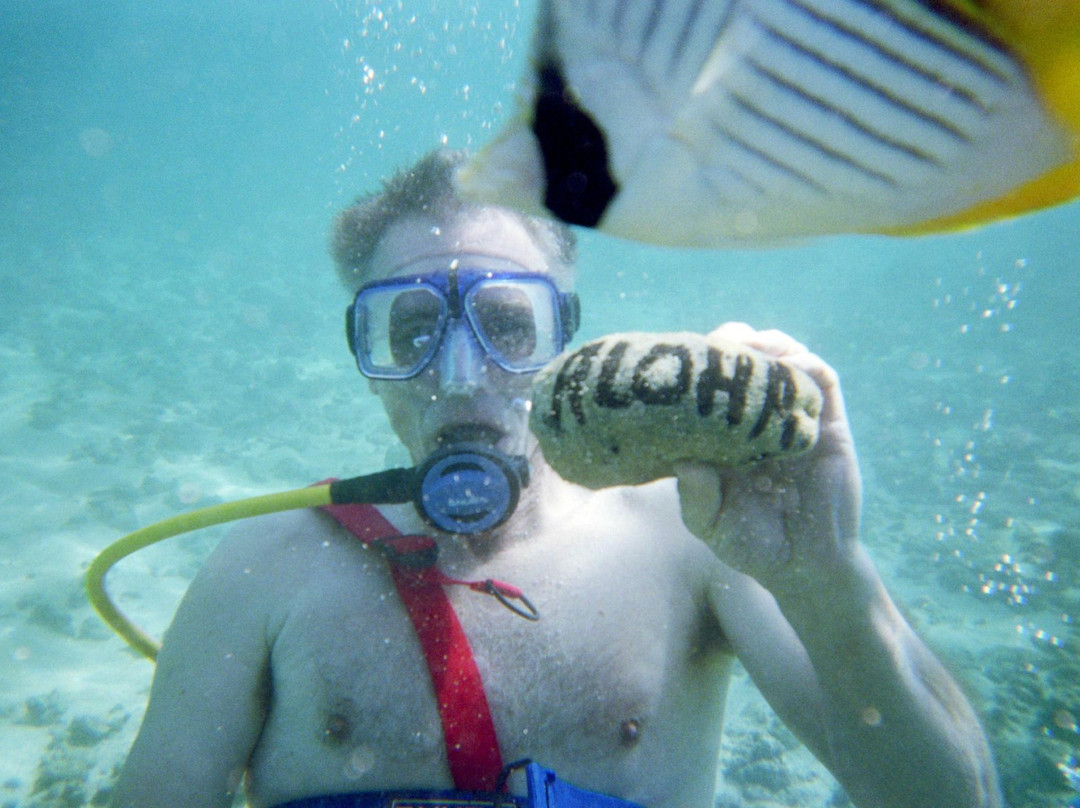 Snuba Tours of Kauai-可洛亚必去景点