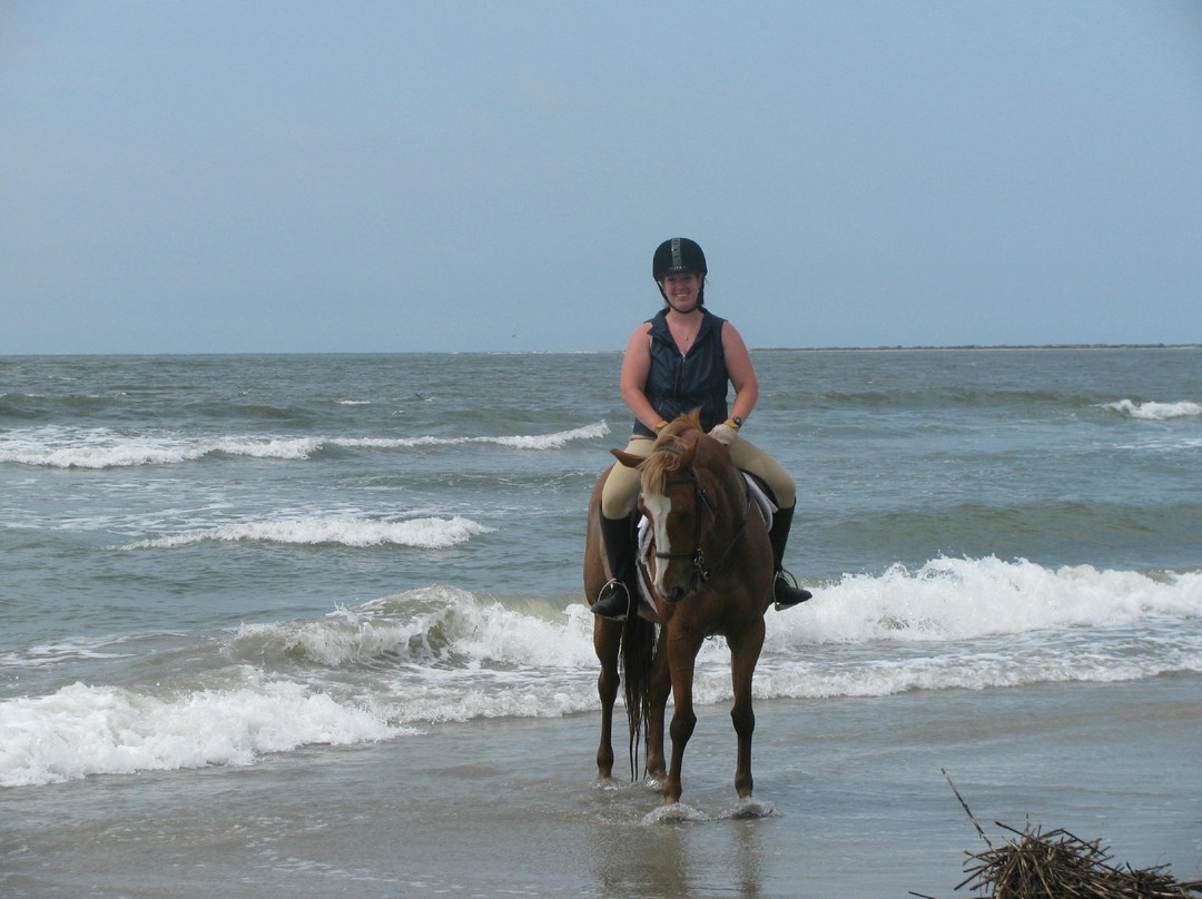 Seabrook Island Equestrian Center景点图片