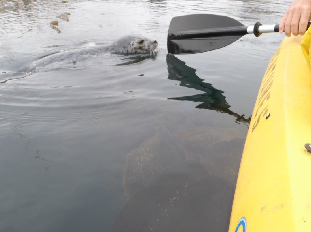 Adventures by the Sea-蒙特雷必去景点