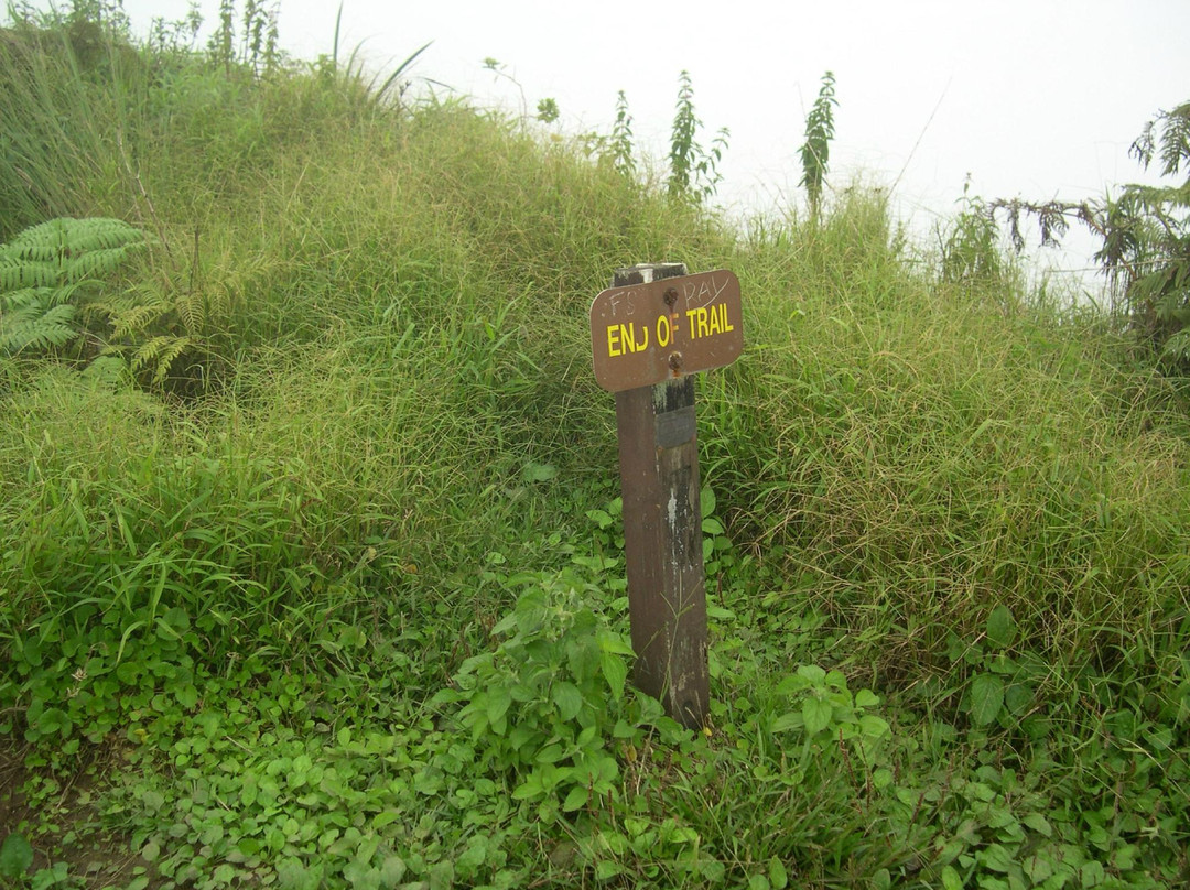 Waiheʻe Ridge Trail-Waihee必去景点