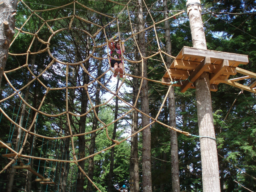 ONTREE Fun & Adventure Park-Windsor Forks必去景点