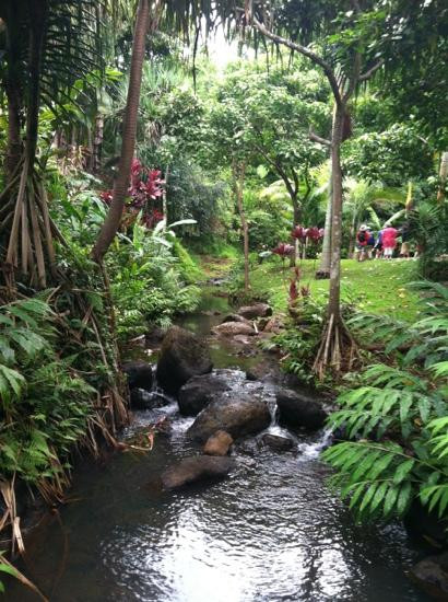 Princeville Botanical Gardens-普林斯维尔必去景点