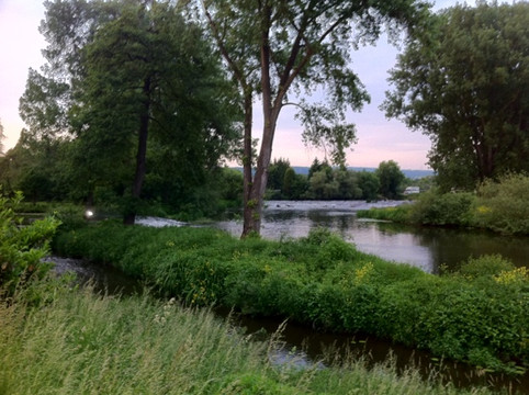 Landhotel Naunheimer Muehle主图