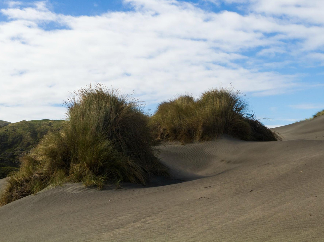 Wharariki Beach Walking Track景点图片