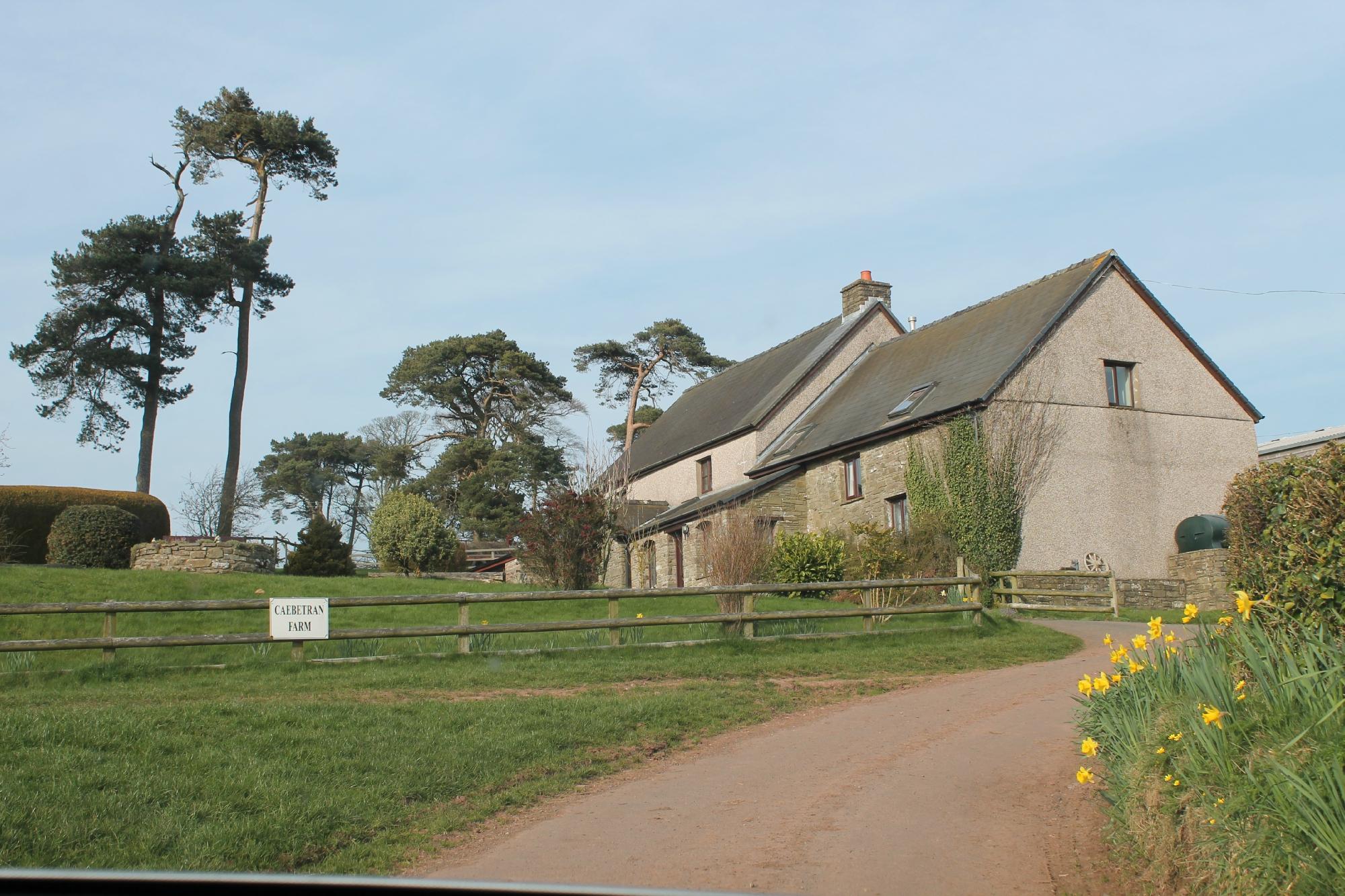 Caebetran Farm Bed & Breakfast-客卧