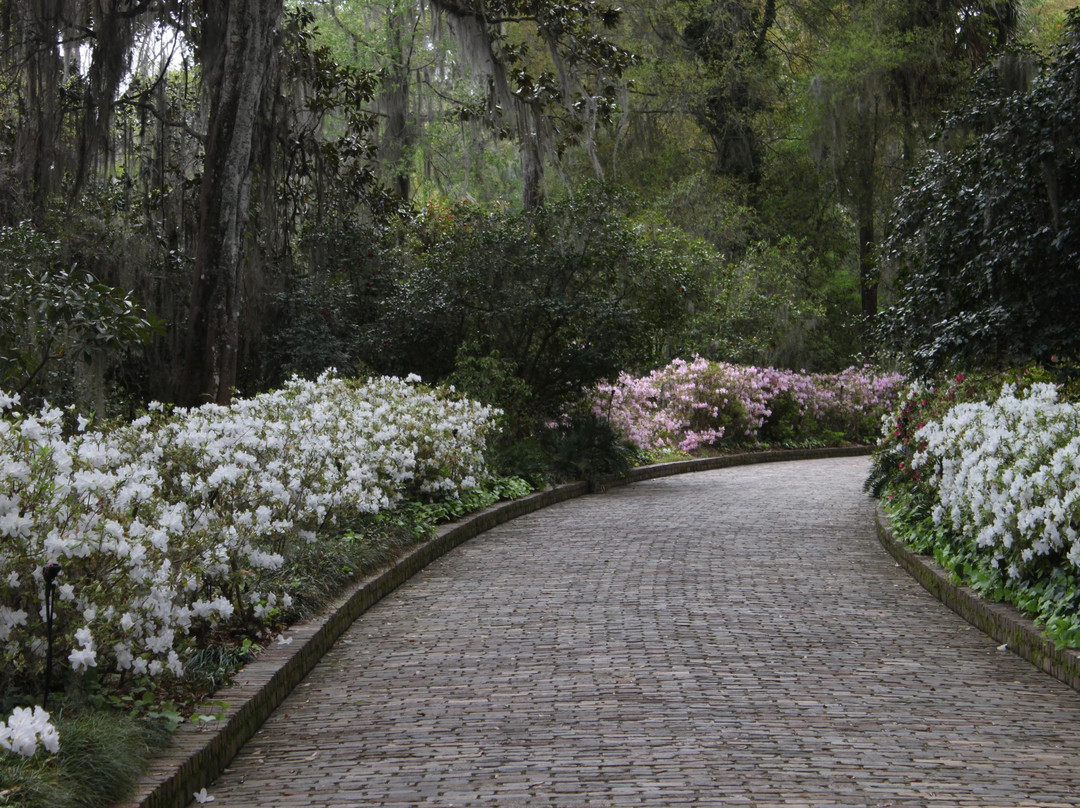 Parque Estatal Maclay Gardens景点图片