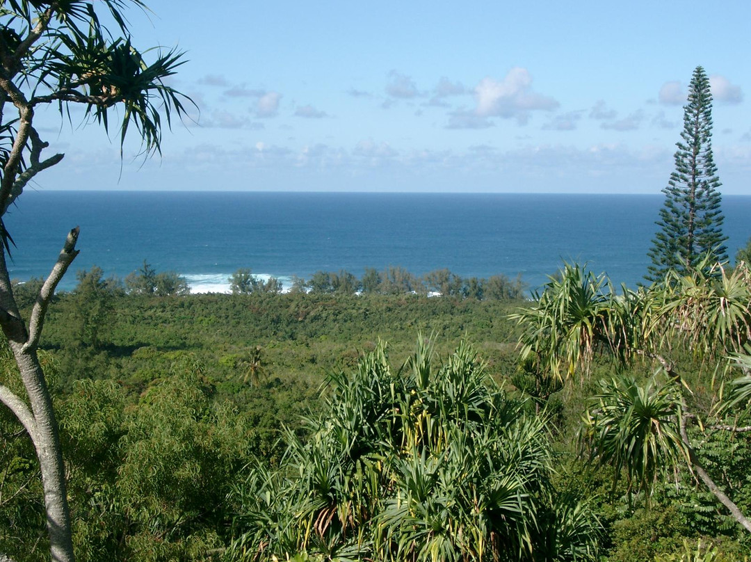 Limahuli Garden and Preserve-哈纳雷伊必去景点