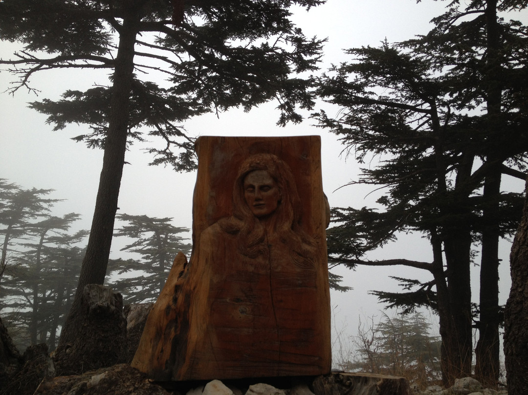 Tannourine Cedar Forest Nature Reserve-Tannourine必去景点